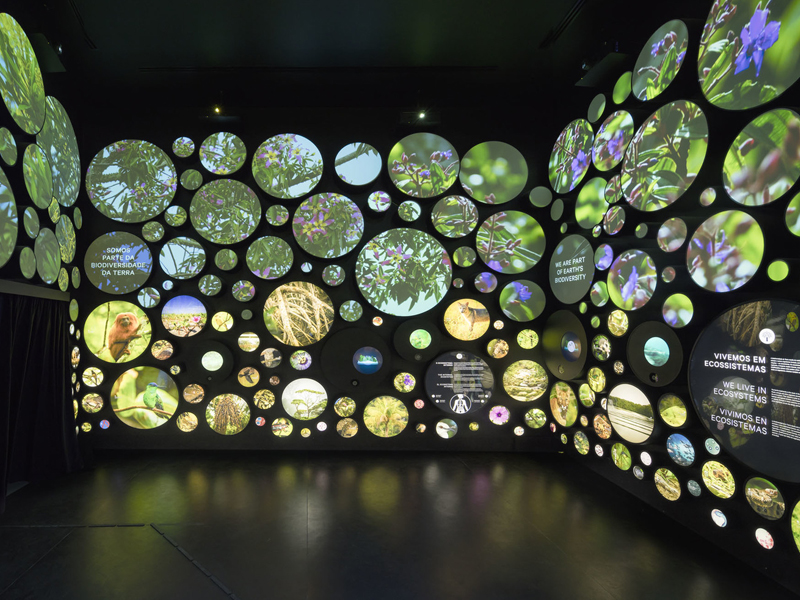 Integrated Flexible LED Displays in Arch